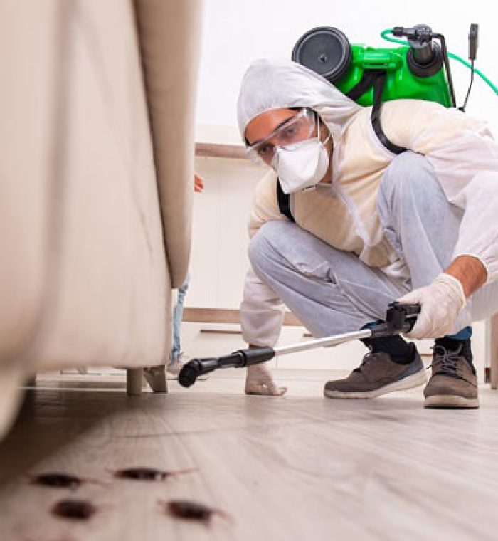 Reliable-Pest-Control-Companies-in-India